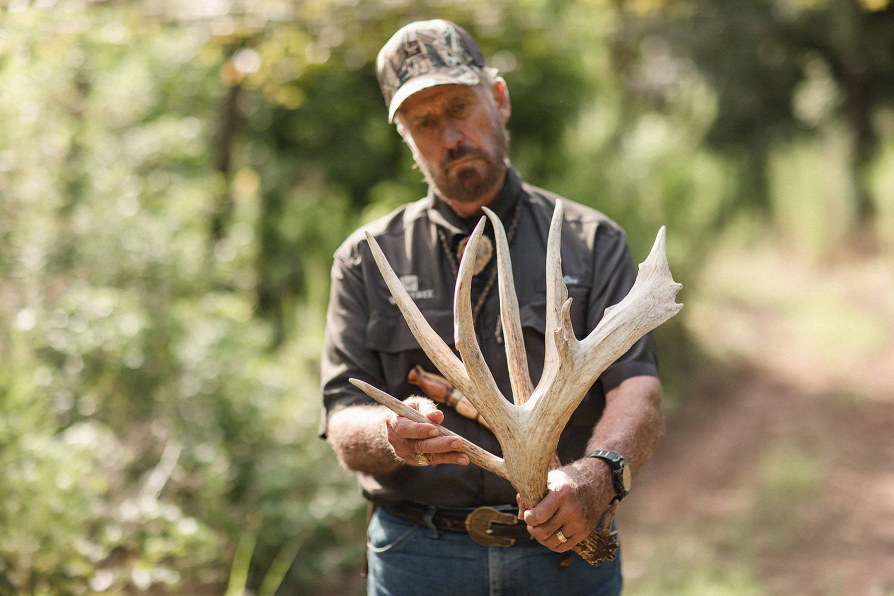 Inspecting antlers for deer health