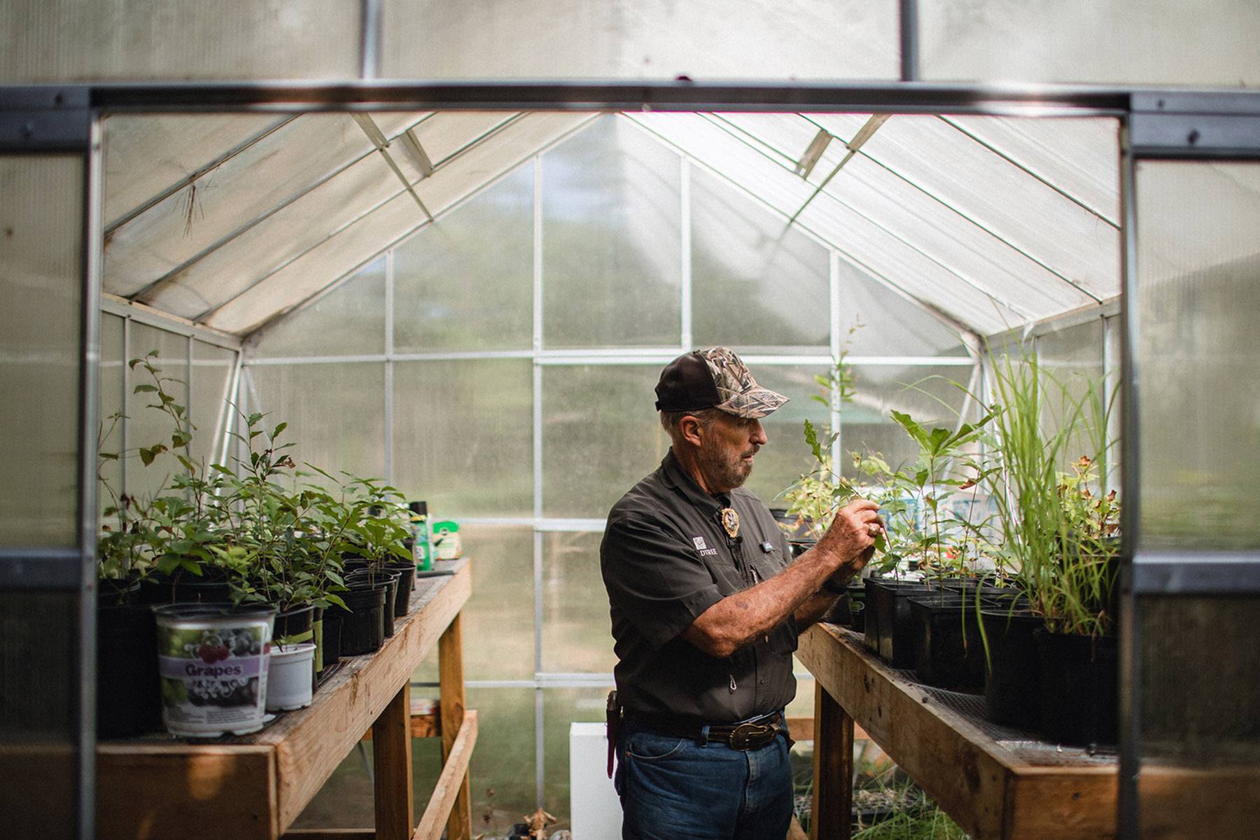 Dr. Deer inspecting the greenhouse at Wildtree