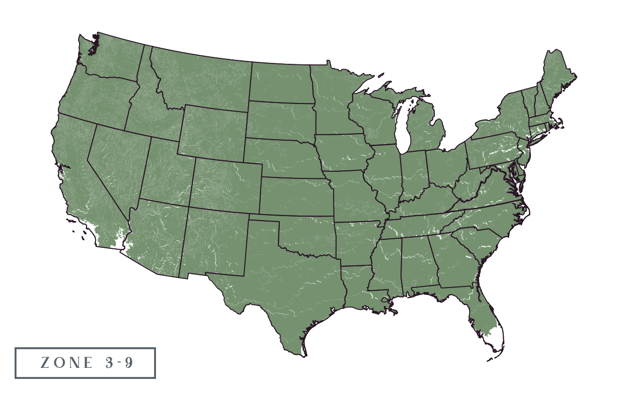 Zone 3-9 Vegetation.