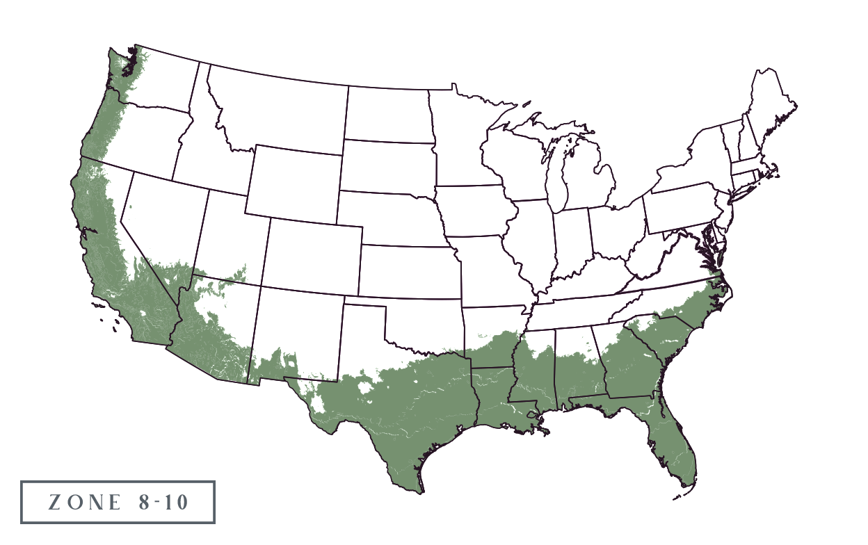 US Vegetation zones 8-10
