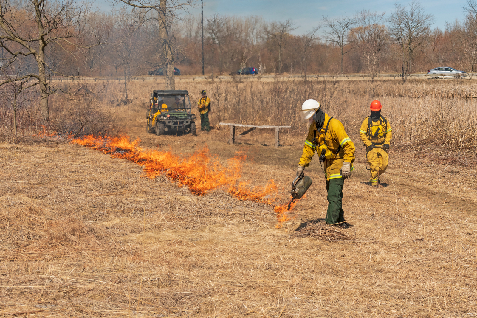 Controlled Burns to Promote Growth of Native Plants